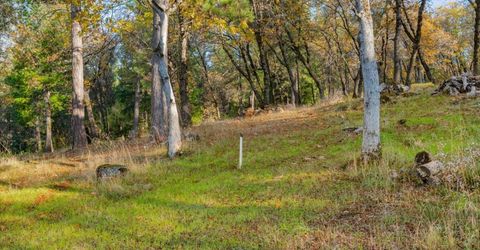 10746 S Ponderosa Way, Rough and Ready, CA 95975 Photo