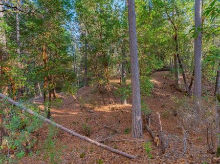 10746 S Ponderosa Way, Rough and Ready, CA 95975 Photo