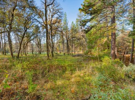 10746 S Ponderosa Way, Rough and Ready, CA 95975 Photo