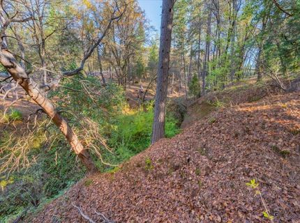 10746 S Ponderosa Way, Rough and Ready, CA 95975 Photo