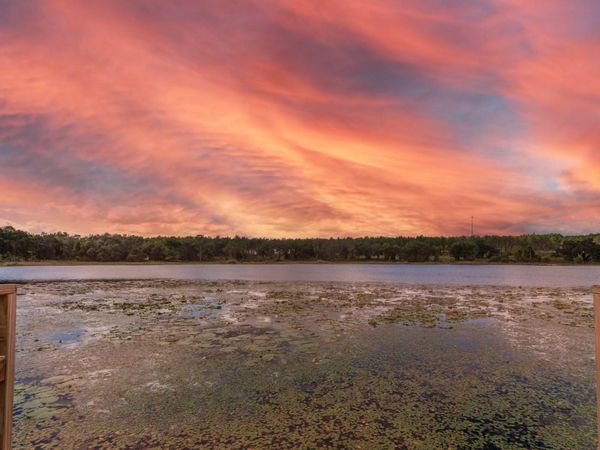 16758 SE 181ST TERRACE, WEIRSDALE, FL 32195