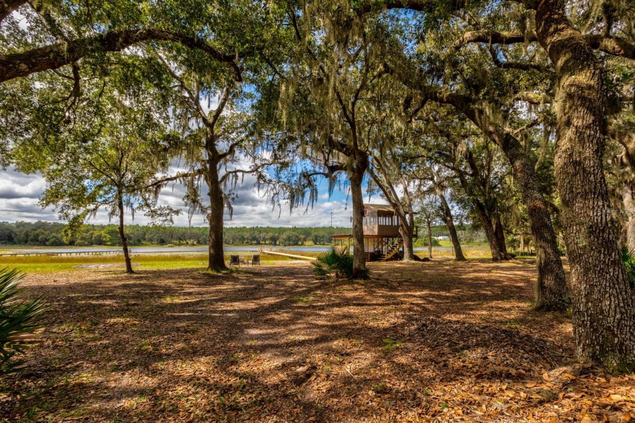 16758 SE 181st Terrace, Weirsdale, FL 32195 Photo