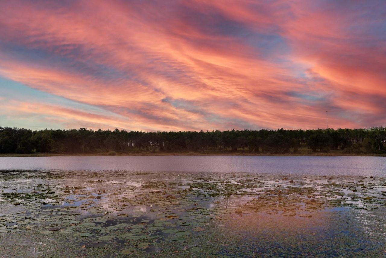 16758 SE 181st Terrace, Weirsdale, FL 32195 Photo