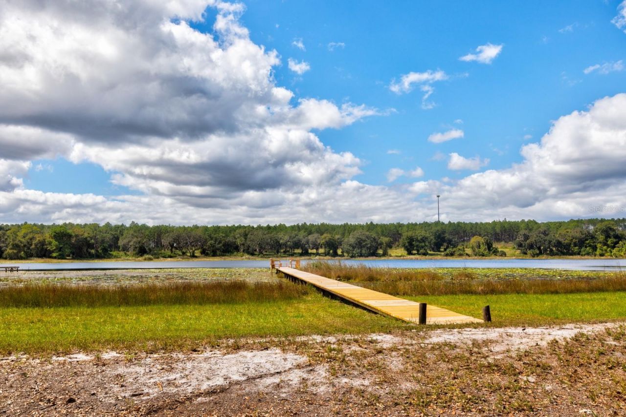 16758 SE 181st Terrace, Weirsdale, FL 32195 Photo