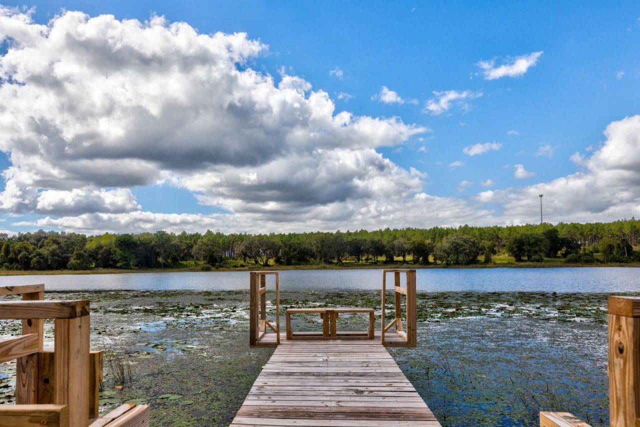 16758 SE 181st Terrace, Weirsdale, FL 32195 Photo