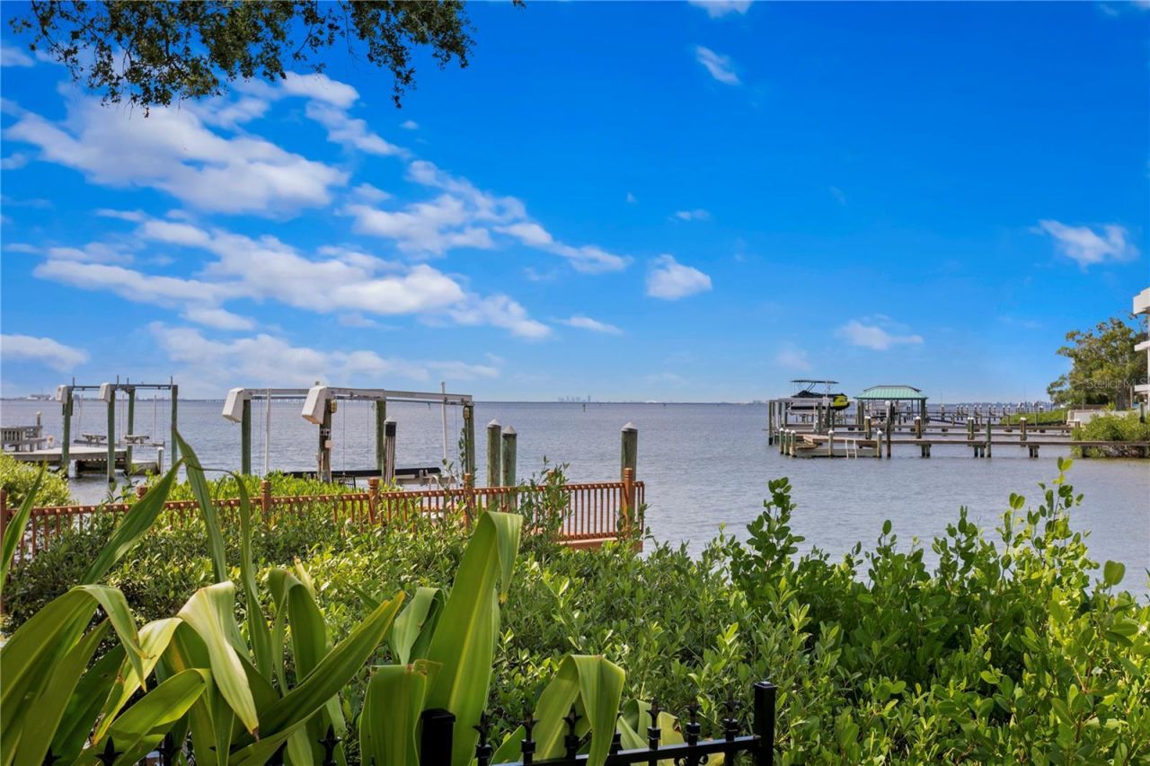 25 W Spanish Main Street, Tampa, FL 33609 Photo