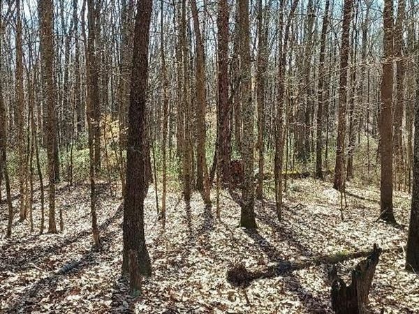 3195 Davis Academy Road, Rutledge, GA 30663