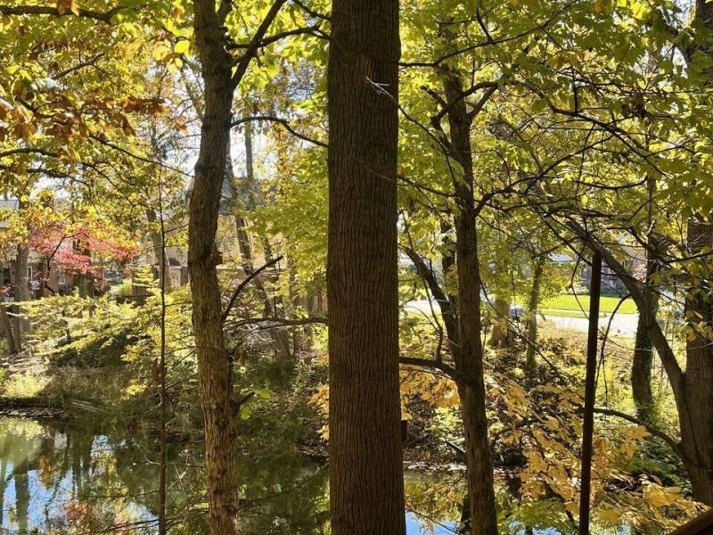 2084 Lakelyn Court, Crescent Springs, KY 41017 Photo 25