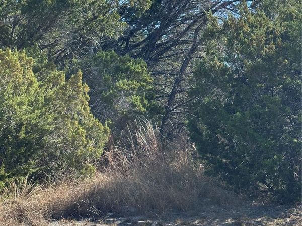 9332 Oxbow CIR, Lago Vista, TX 78645