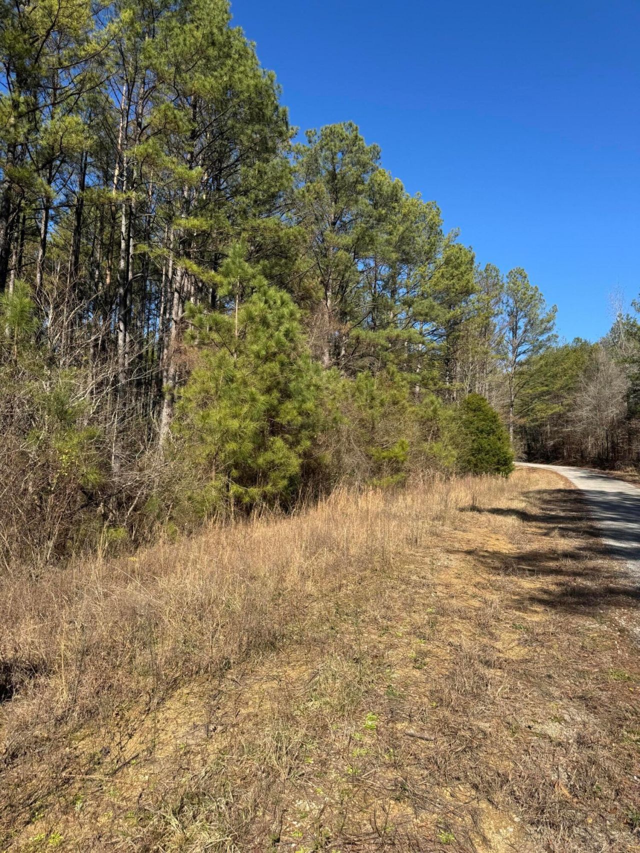 Ernest Chapel Rd, Oakman, AL 35579 Main Photo