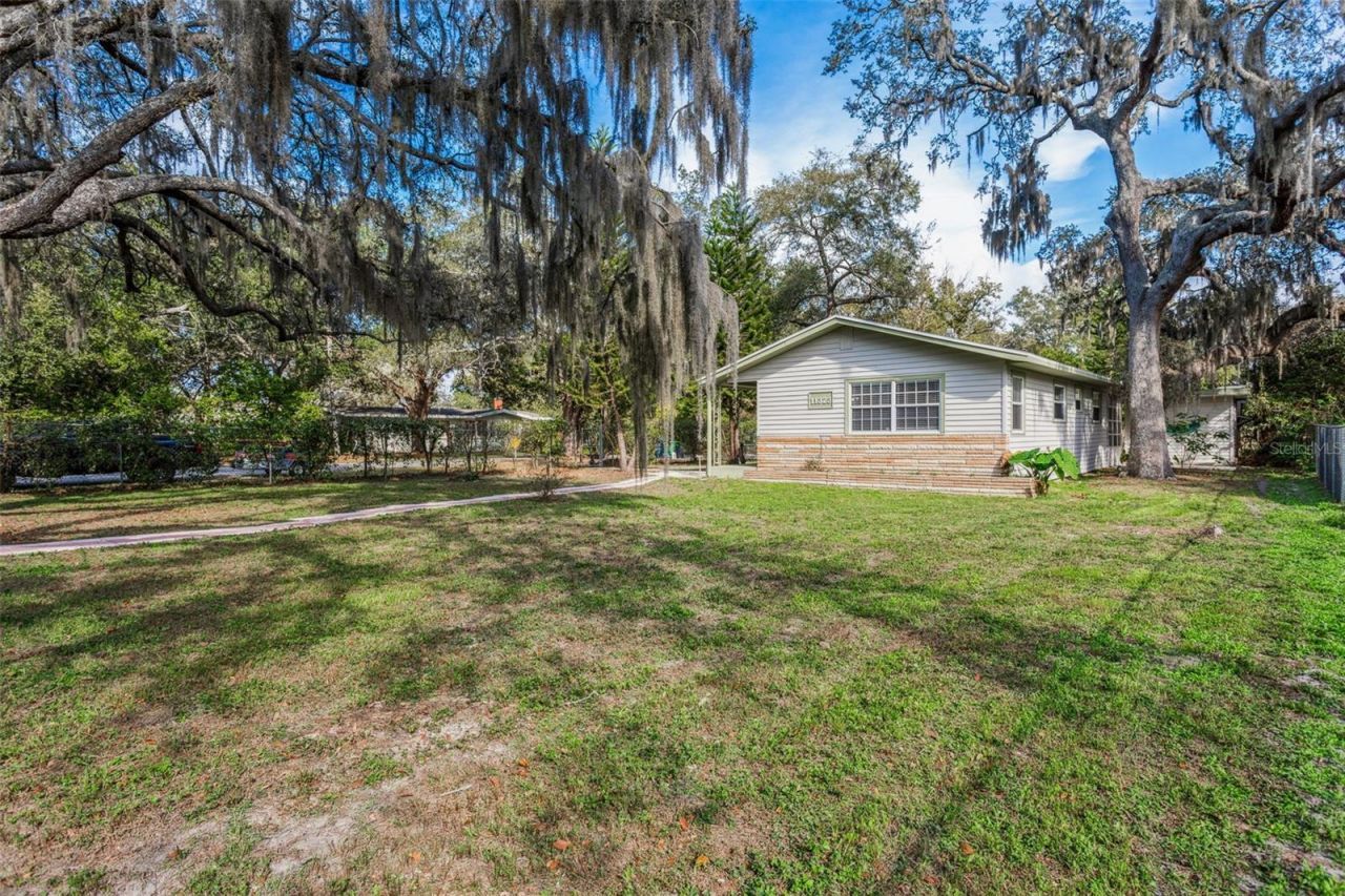 11323 Marjory Avenue, Tampa, FL 33612 Main Photo