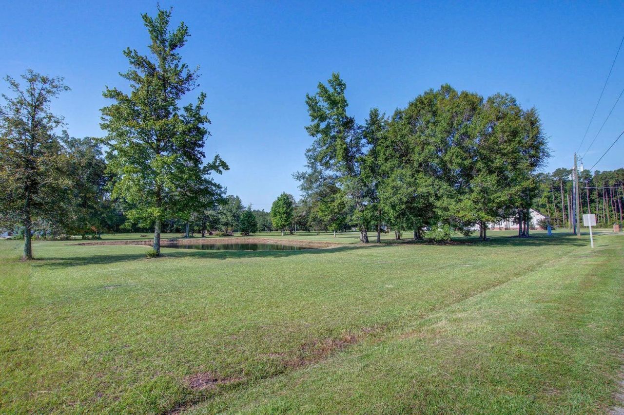 131 Canterhill Lane Photo 13