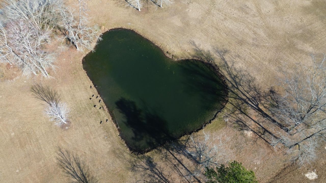 131 Canterhill Lane Photo 6