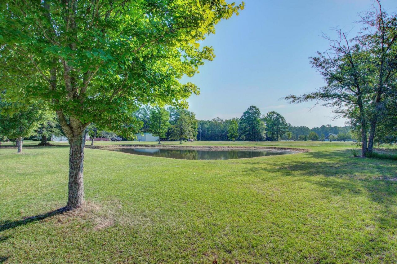 131 Canterhill Lane Photo 8