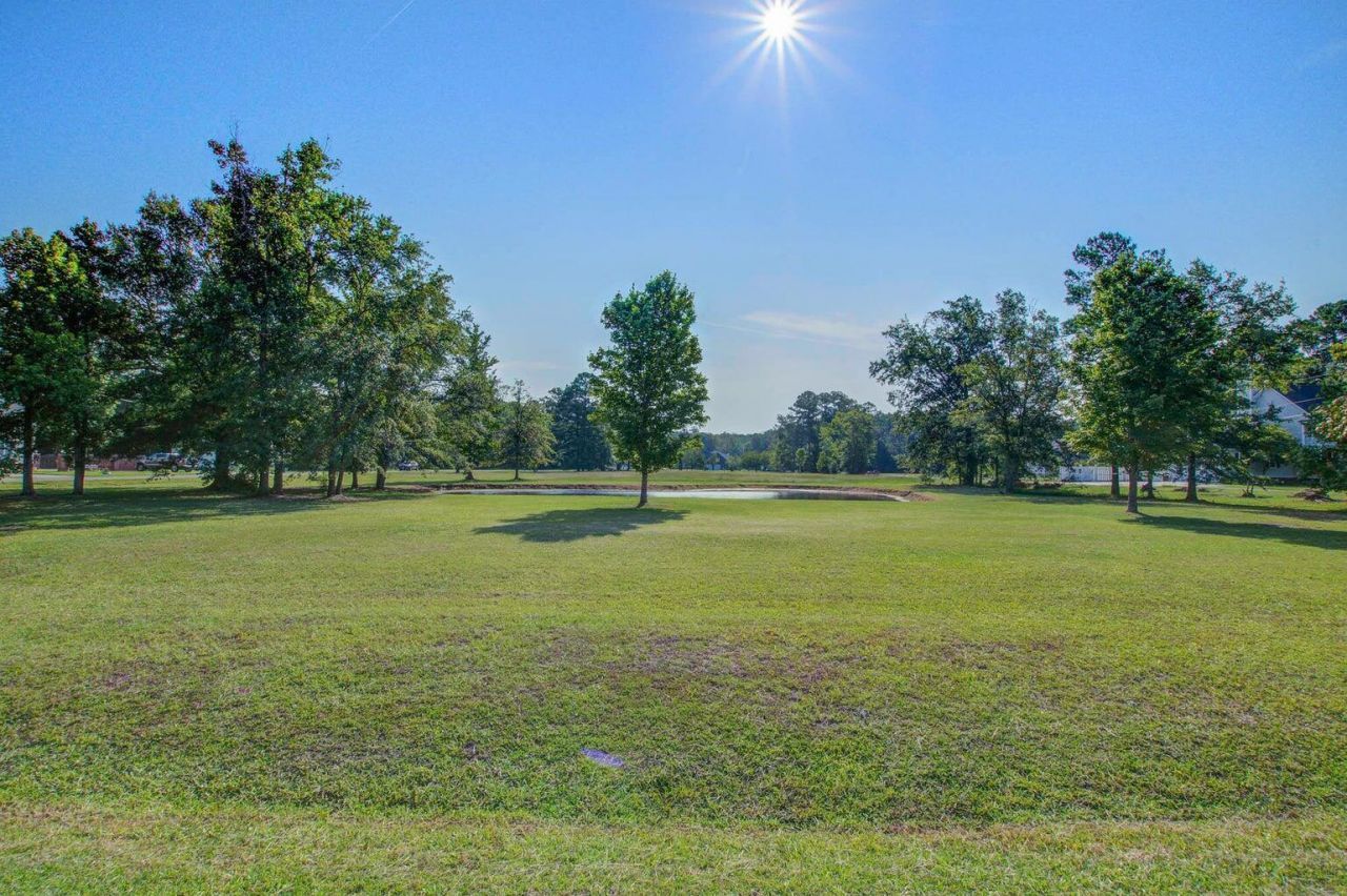 131 Canterhill Lane Photo 9