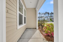 906 Dusk Drive photo 4