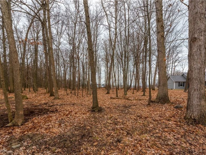 3654 Elizabeth Drive, Vermilion, OH 44089 Photo 48