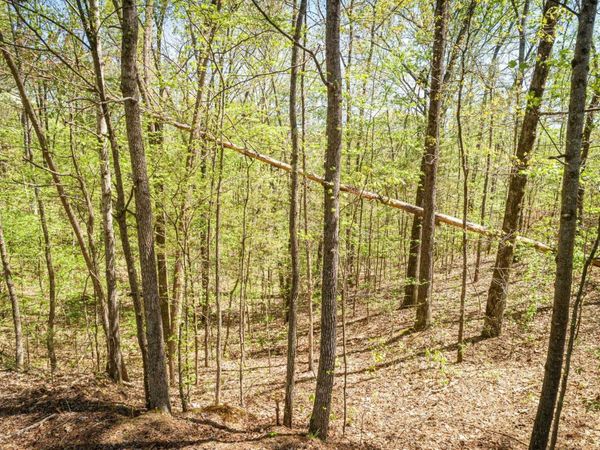 LOT 172 & 165 FAWN RIDGE RD, Parsons, TN 38363