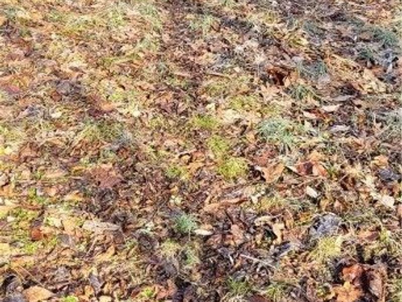 Township Rd 399, Coshocton, OH 43812 Photo 12