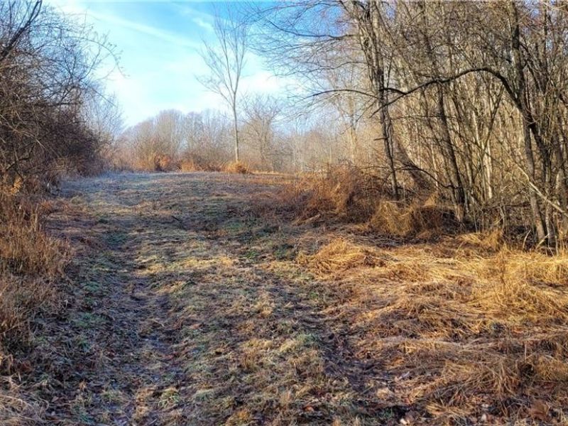 Township Rd 399, Coshocton, OH 43812 Photo 13