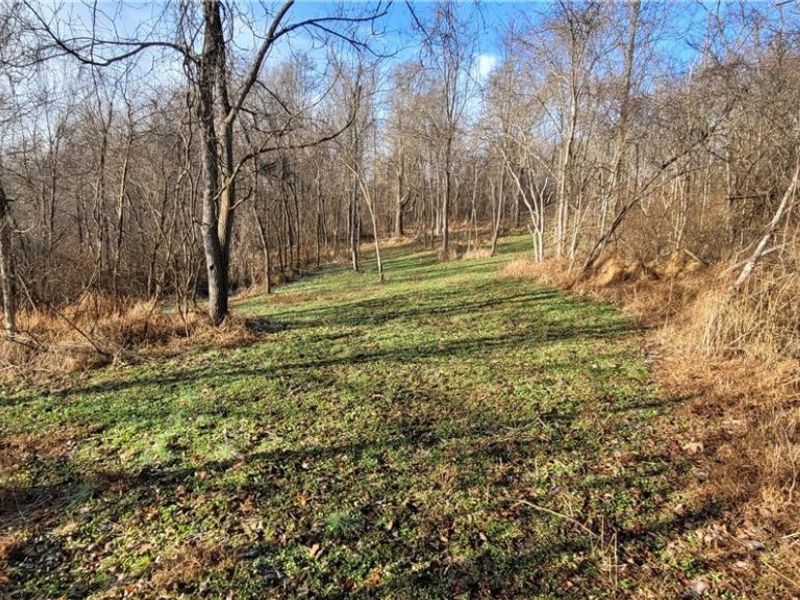 Township Rd 399, Coshocton, OH 43812 Photo 15