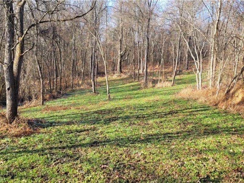 Township Rd 399, Coshocton, OH 43812 Photo 16