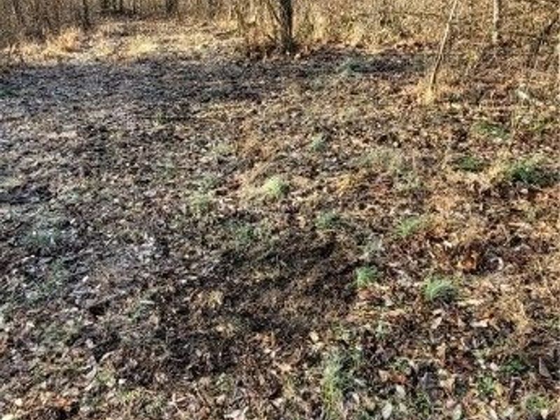 Township Rd 399, Coshocton, OH 43812 Photo 17