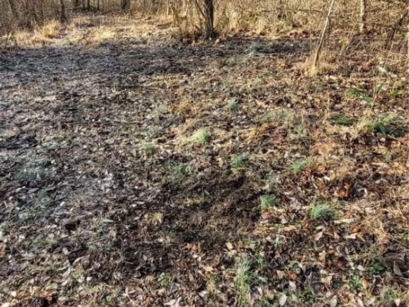 Township Rd 399, Coshocton, OH 43812 Photo 17