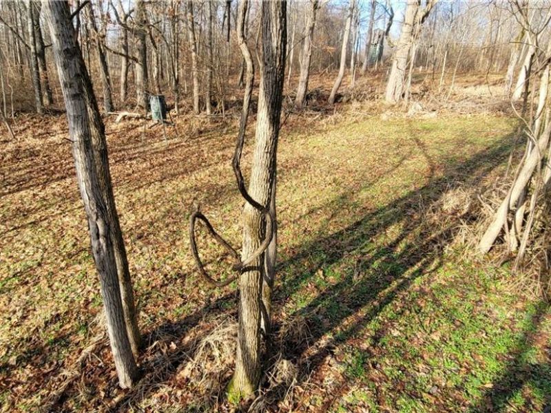 Township Rd 399, Coshocton, OH 43812 Photo 18