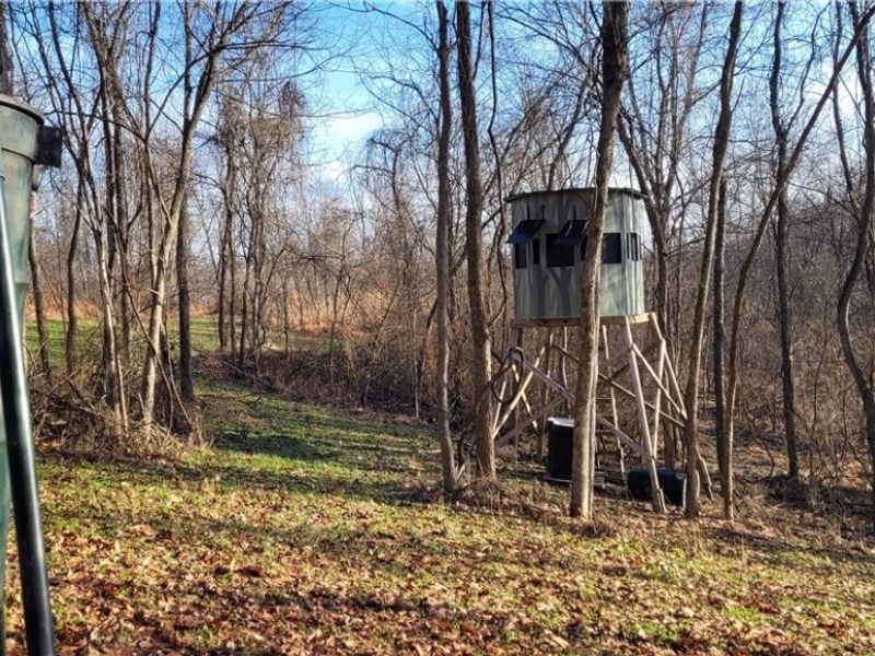 Township Rd 399, Coshocton, OH 43812 Photo 19