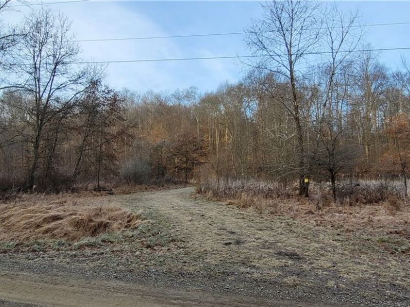 Township Rd 399, Coshocton, OH 43812 Photo 2