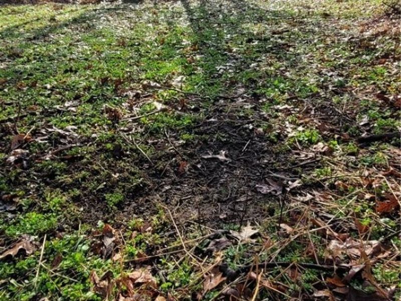 Township Rd 399, Coshocton, OH 43812 Photo 21