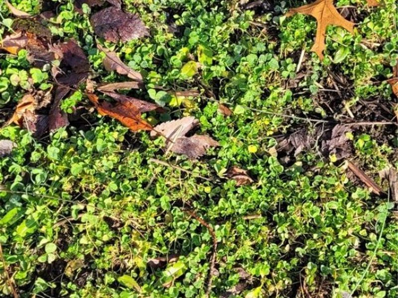 Township Rd 399, Coshocton, OH 43812 Photo 22