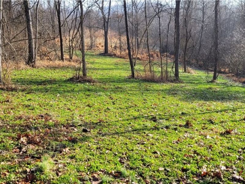 Township Rd 399, Coshocton, OH 43812 Photo 23