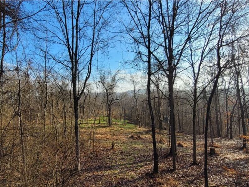 Township Rd 399, Coshocton, OH 43812 Photo 26