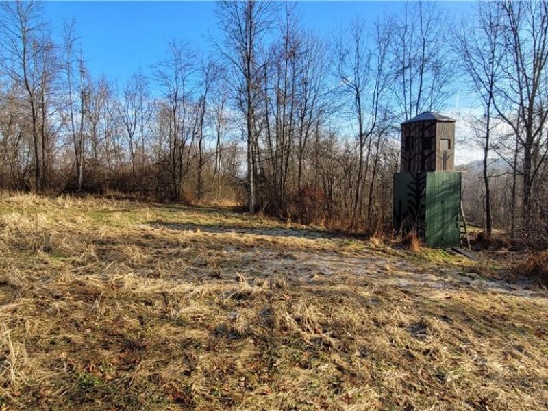 Township Rd 399, Coshocton, OH 43812 Photo 27