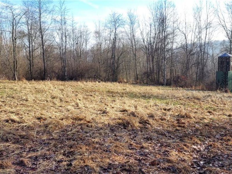 Township Rd 399, Coshocton, OH 43812 Photo 29