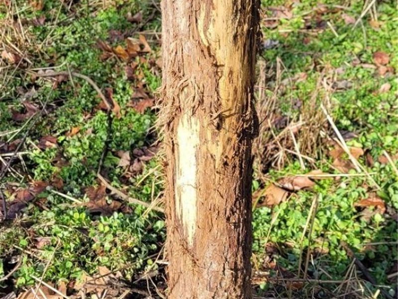 Township Rd 399, Coshocton, OH 43812 Photo 30