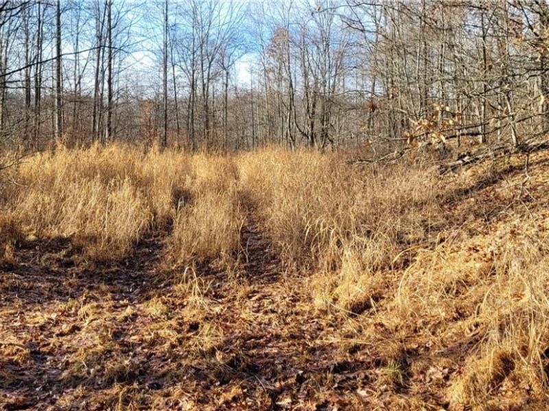 Township Rd 399, Coshocton, OH 43812 Photo 31