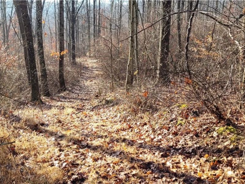 Township Rd 399, Coshocton, OH 43812 Photo 32