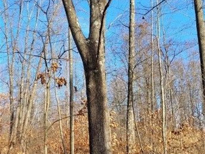 Township Rd 399, Coshocton, OH 43812 Photo 33