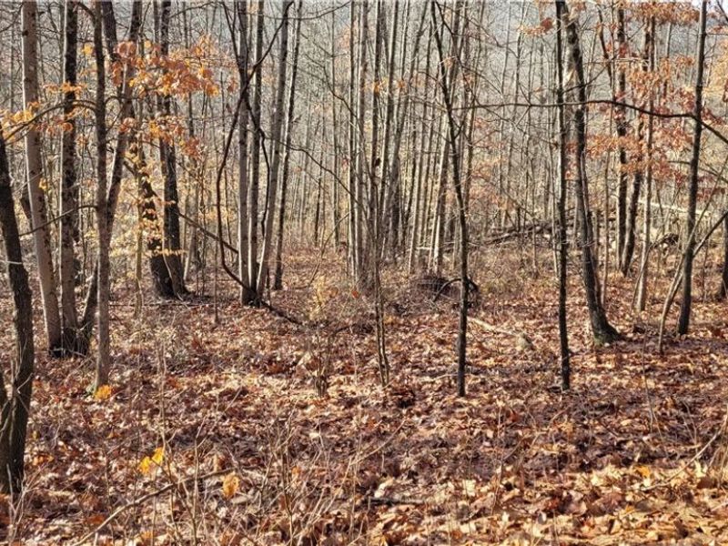 Township Rd 399, Coshocton, OH 43812 Photo 34