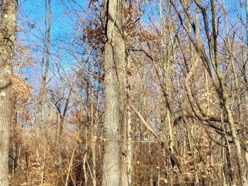 Township Rd 399, Coshocton, OH 43812 Photo 35