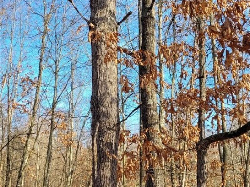 Township Rd 399, Coshocton, OH 43812 Photo 36