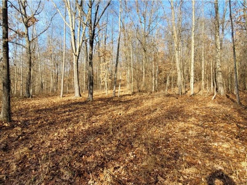 Township Rd 399, Coshocton, OH 43812 Photo 37