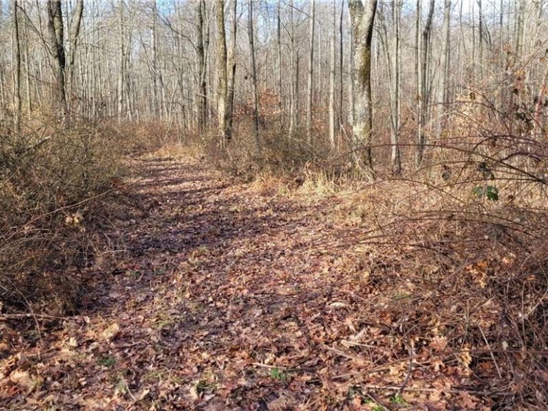 Township Rd 399, Coshocton, OH 43812 Photo 39