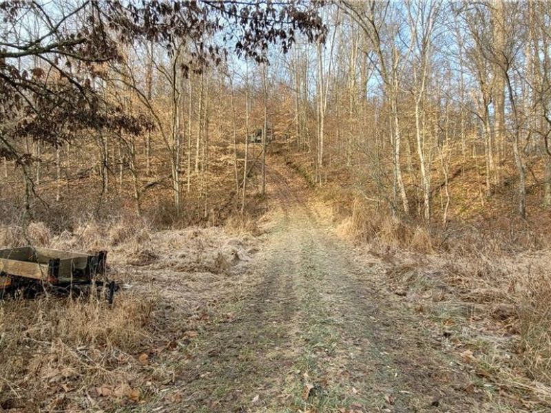 Township Rd 399, Coshocton, OH 43812 Photo 4