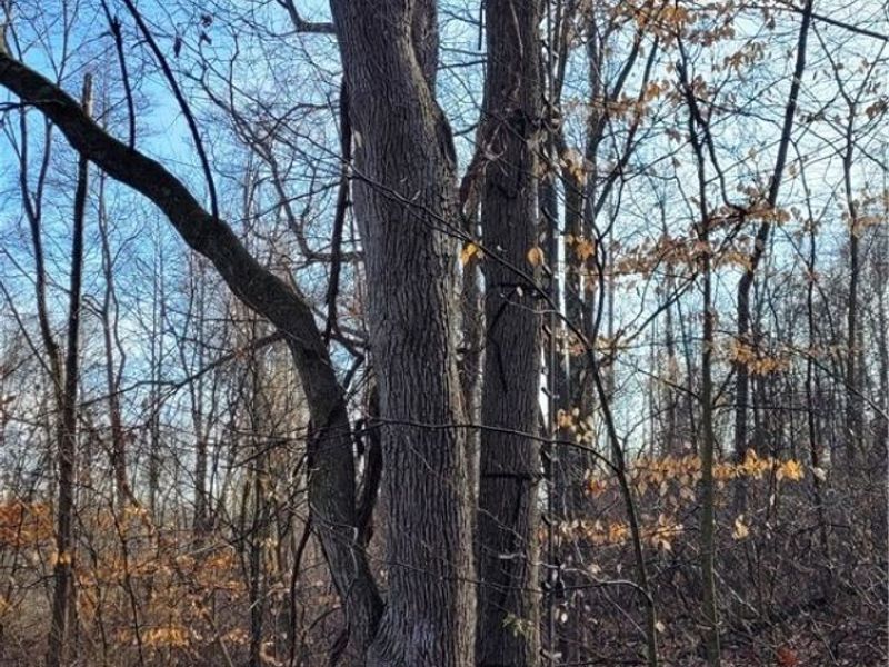 Township Rd 399, Coshocton, OH 43812 Photo 40