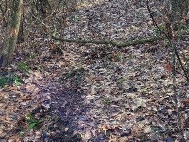 Township Rd 399, Coshocton, OH 43812 Photo 41