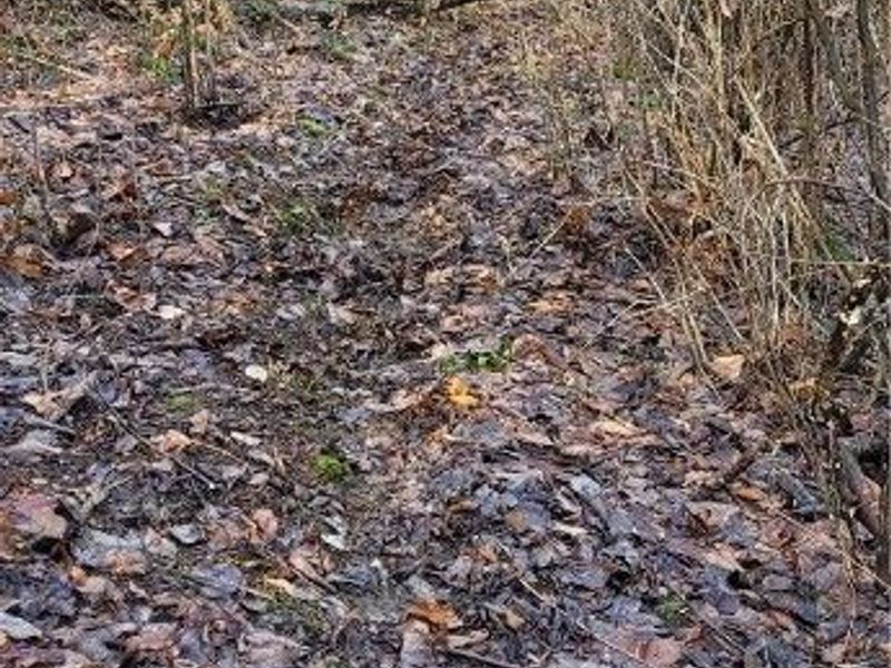 Township Rd 399, Coshocton, OH 43812 Photo 42